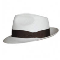 Panama Trilby